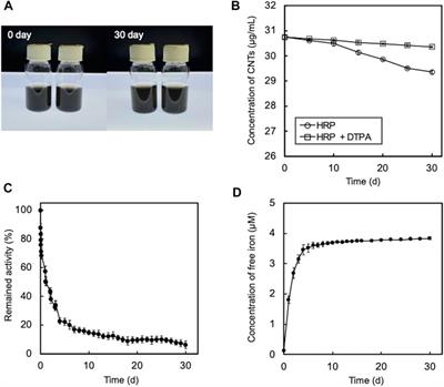 Contribution of the Fenton reaction to the degradation of carbon nanotubes by enzymes